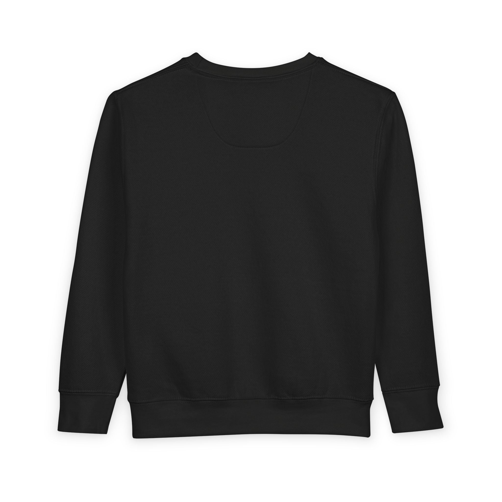 Toddler Sweatshirt "Rawr"