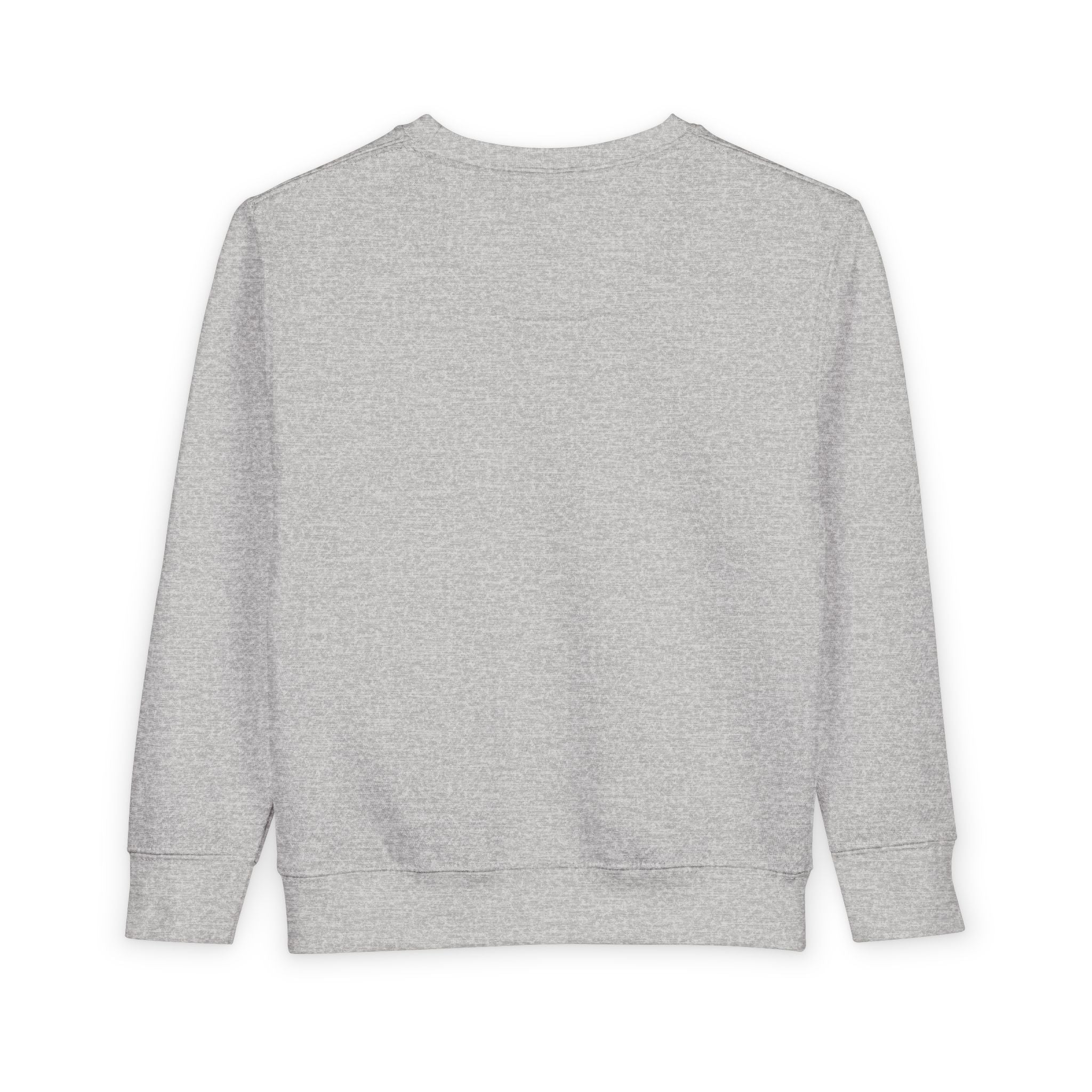 Toddler Sweatshirt "Rawr"